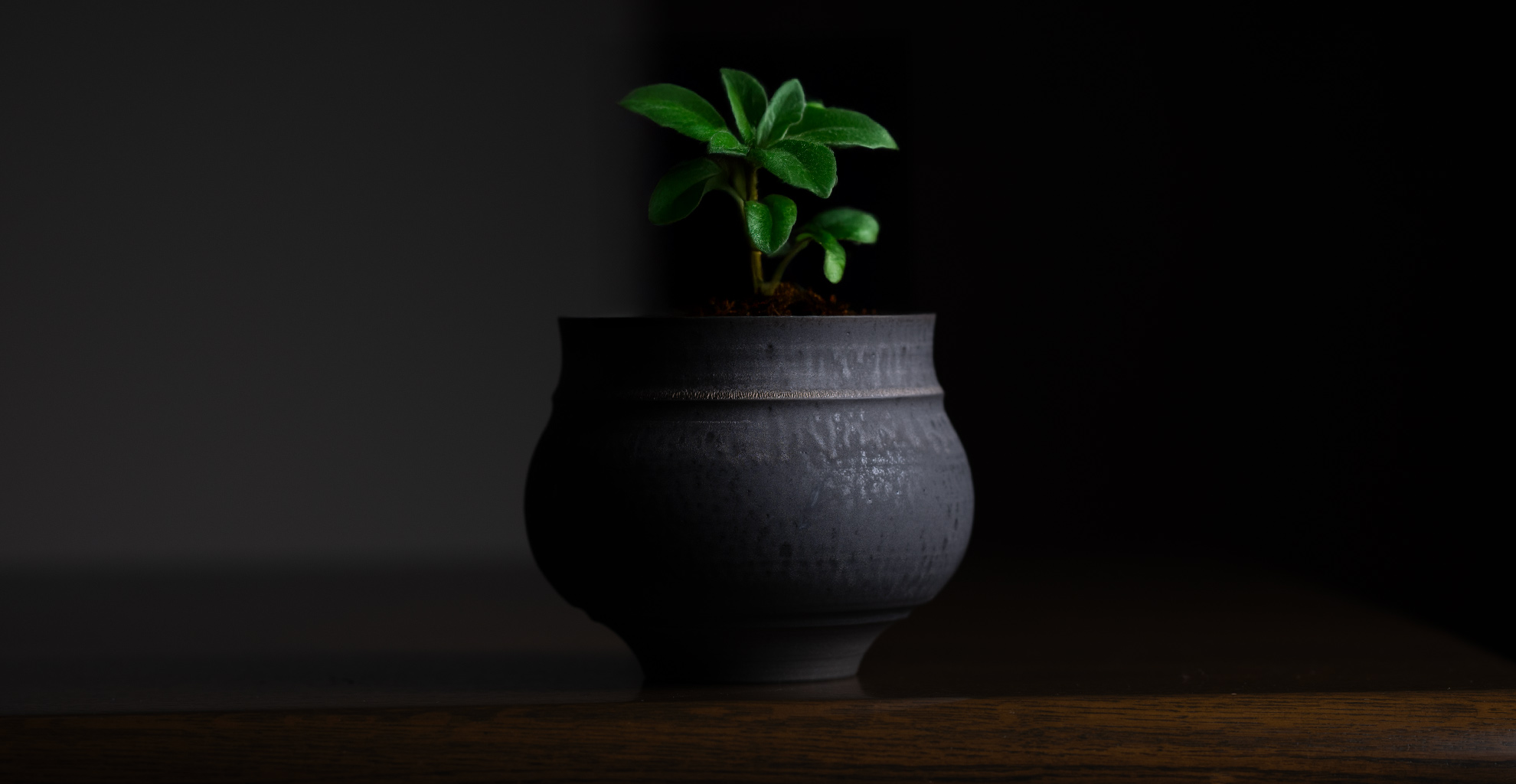 美品】板皿 長皿 草文 陶器 置物 インテリア 工芸品 美術品 A3158