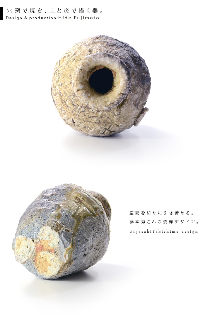 信楽蹲 作家「藤本秀」