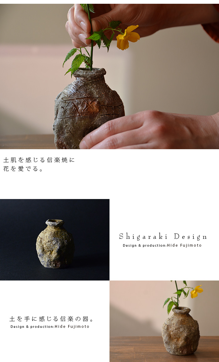 信楽小蹲 作家「藤本秀」