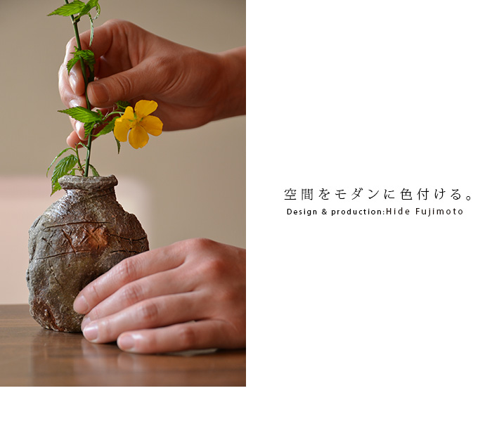 信楽小蹲 作家「藤本秀」