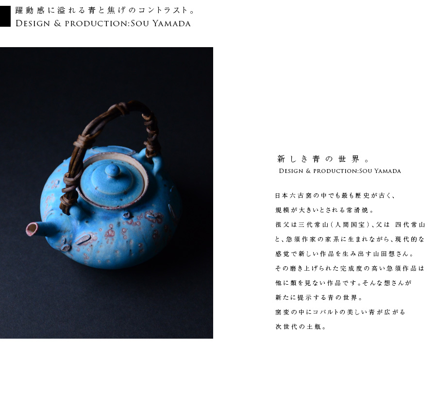 共箱付】青土瓶 (SOY-332) 作家「山田想」