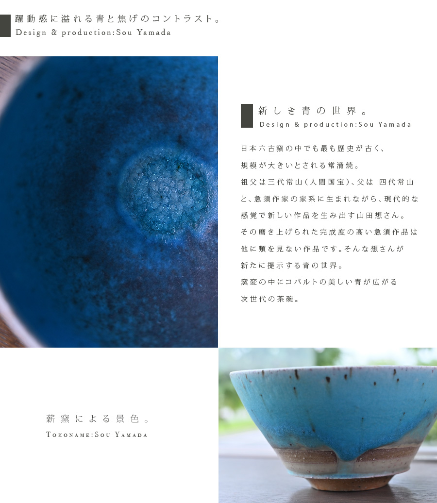 茶碗9点　共箱、木箱付　直径約12~13㎝　本Y5-1025  2F 釋永 陽 越中瀬戸掛分数茶碗 10客 共箱