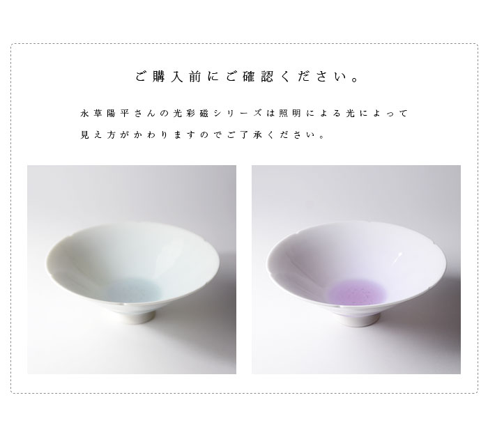 光彩磁茶碗（共箱付） 作家「永草陽平」